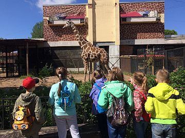 Соревнования в лагере дневного пребывания 